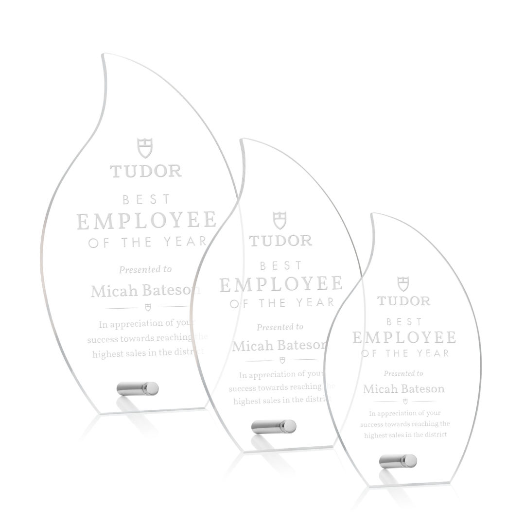 Polaris Flame Award - Silver 8