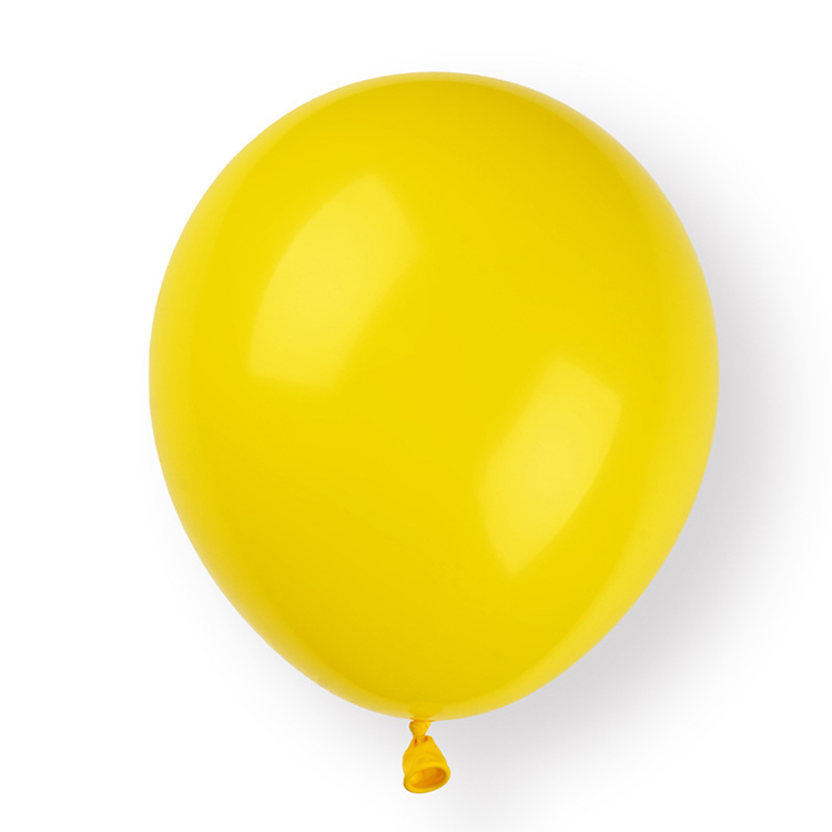 10'' Matte Balloon 4