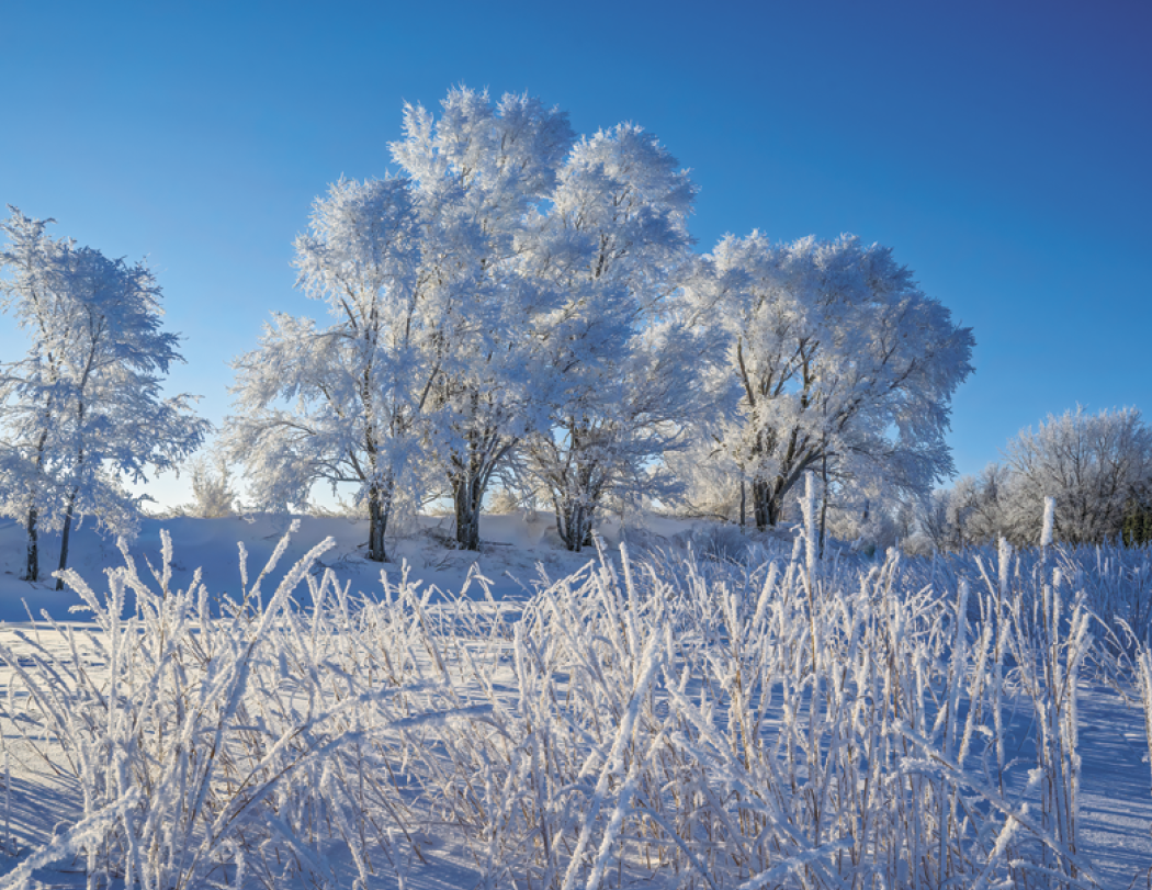 Triumph® Calendars Michigan Calendar 4