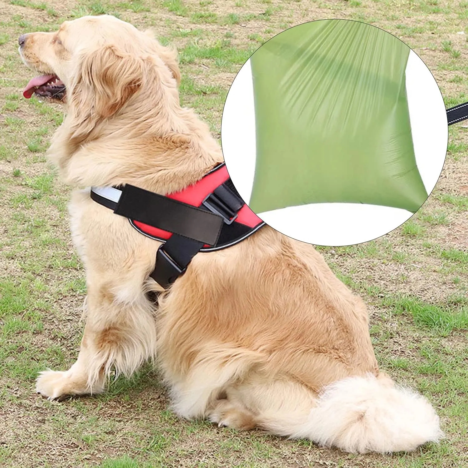 Pet Waste Bag Dispenser for Convenient Clean-Up 1