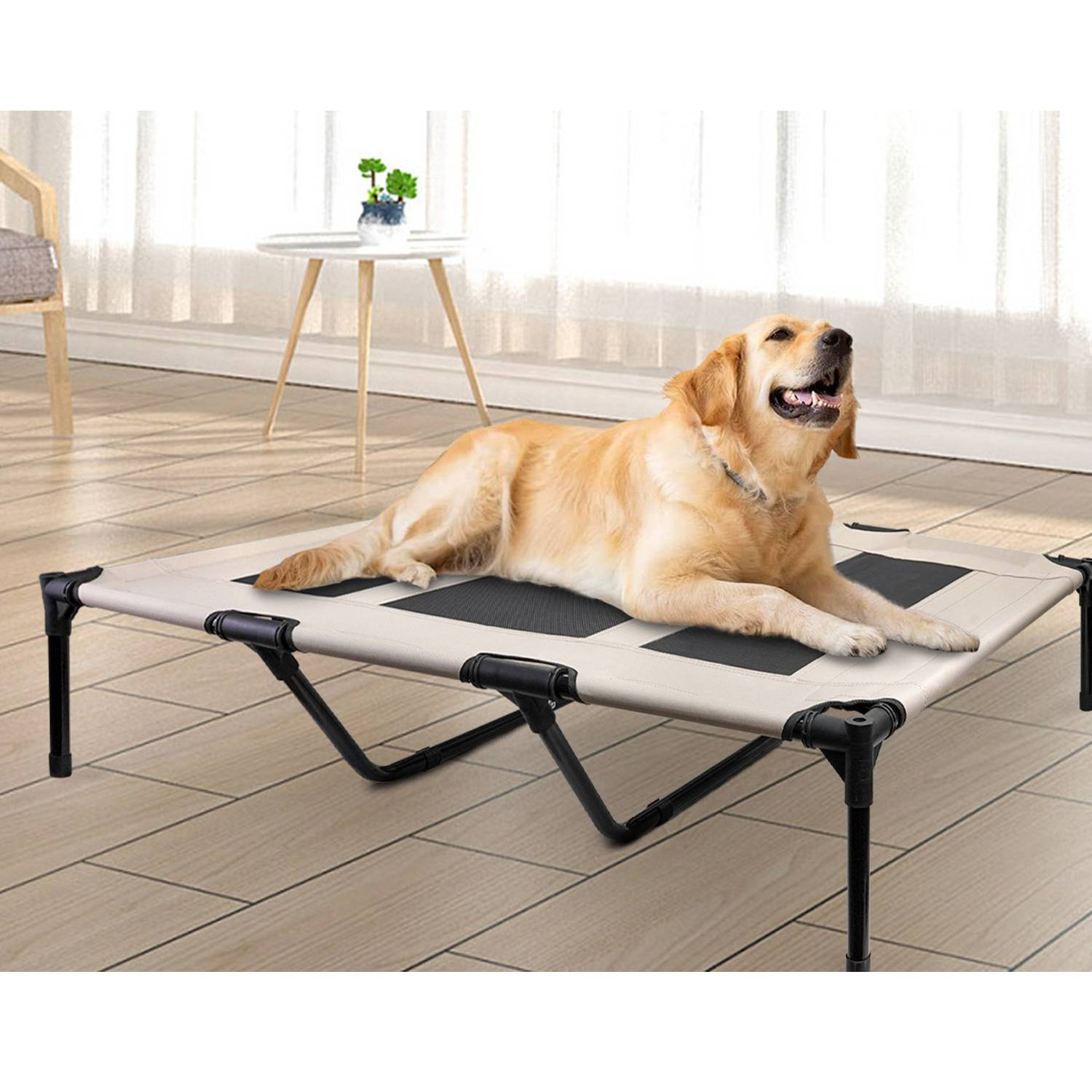 Elevated Raised Small Dog Bed Cots 2