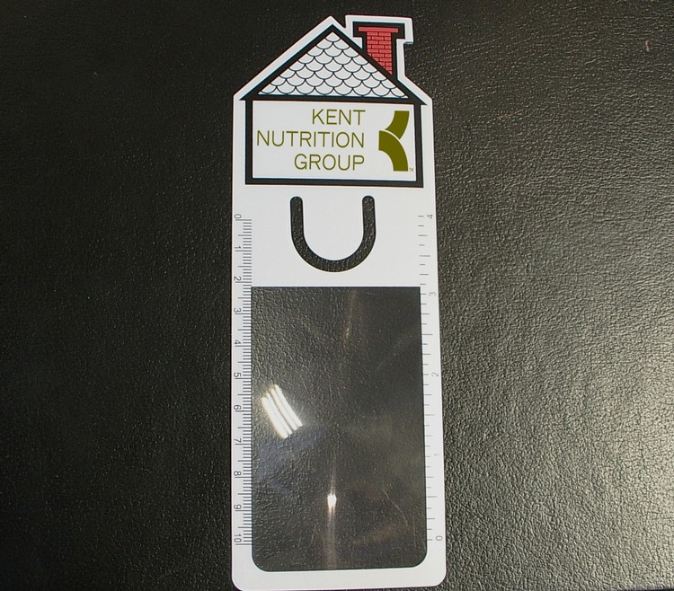 House Bookmark Magnifier 3