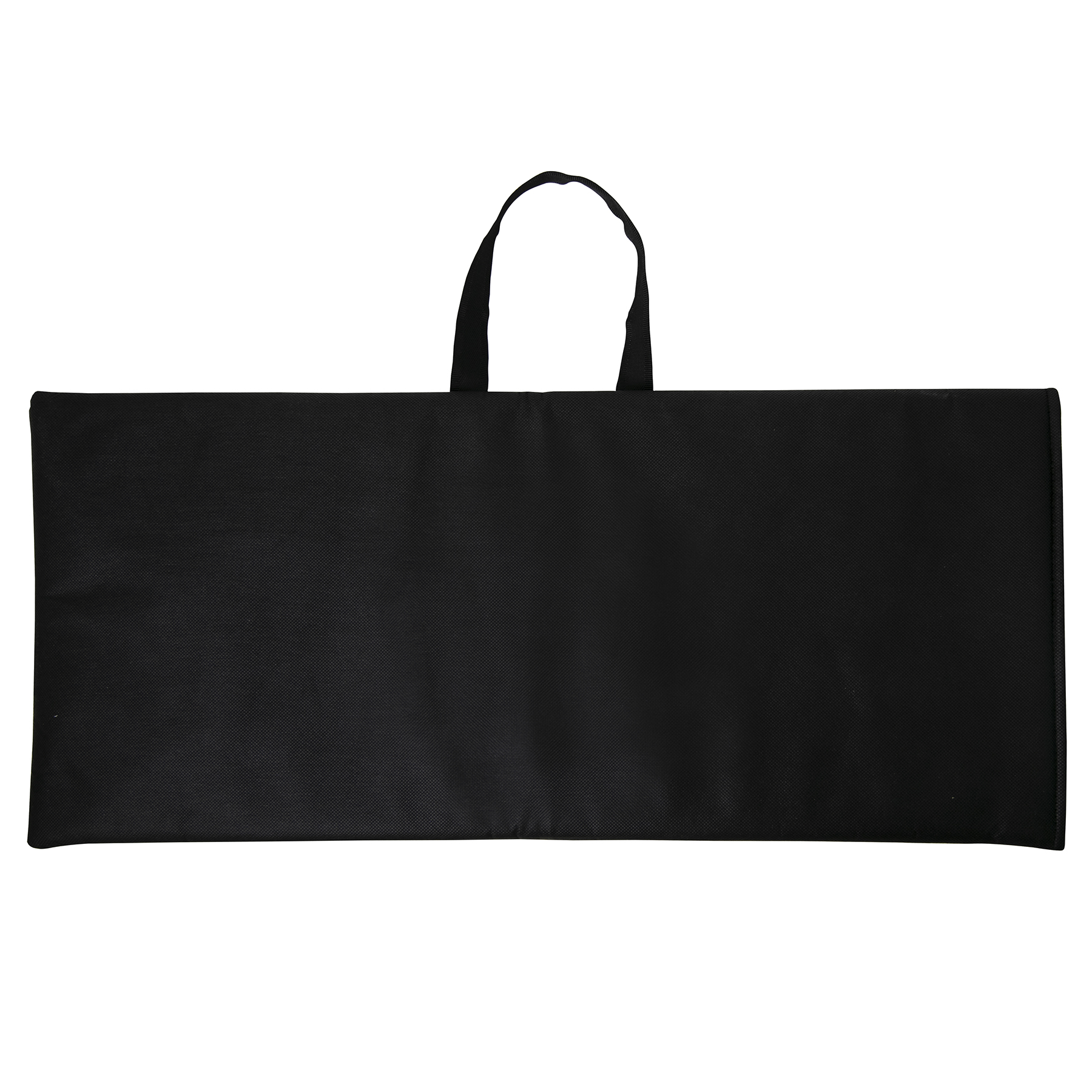 Carrying Case - ColorVista 1