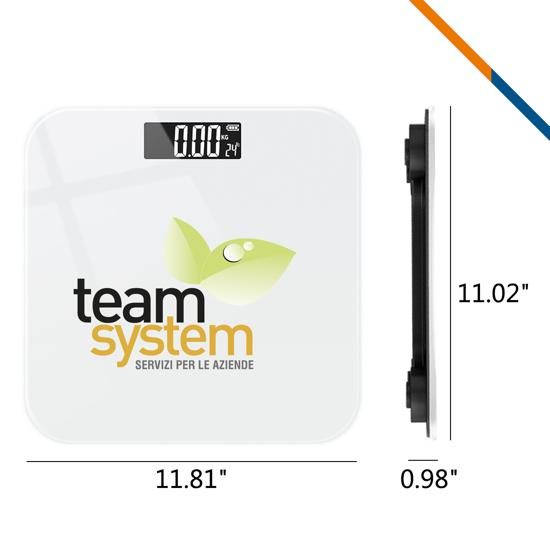 Regan Electronic Scale 3