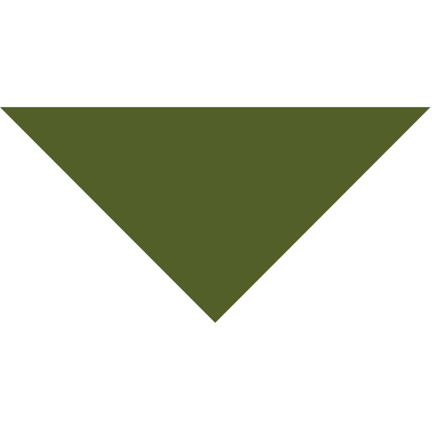 Domestic Pet Bandanna 41
