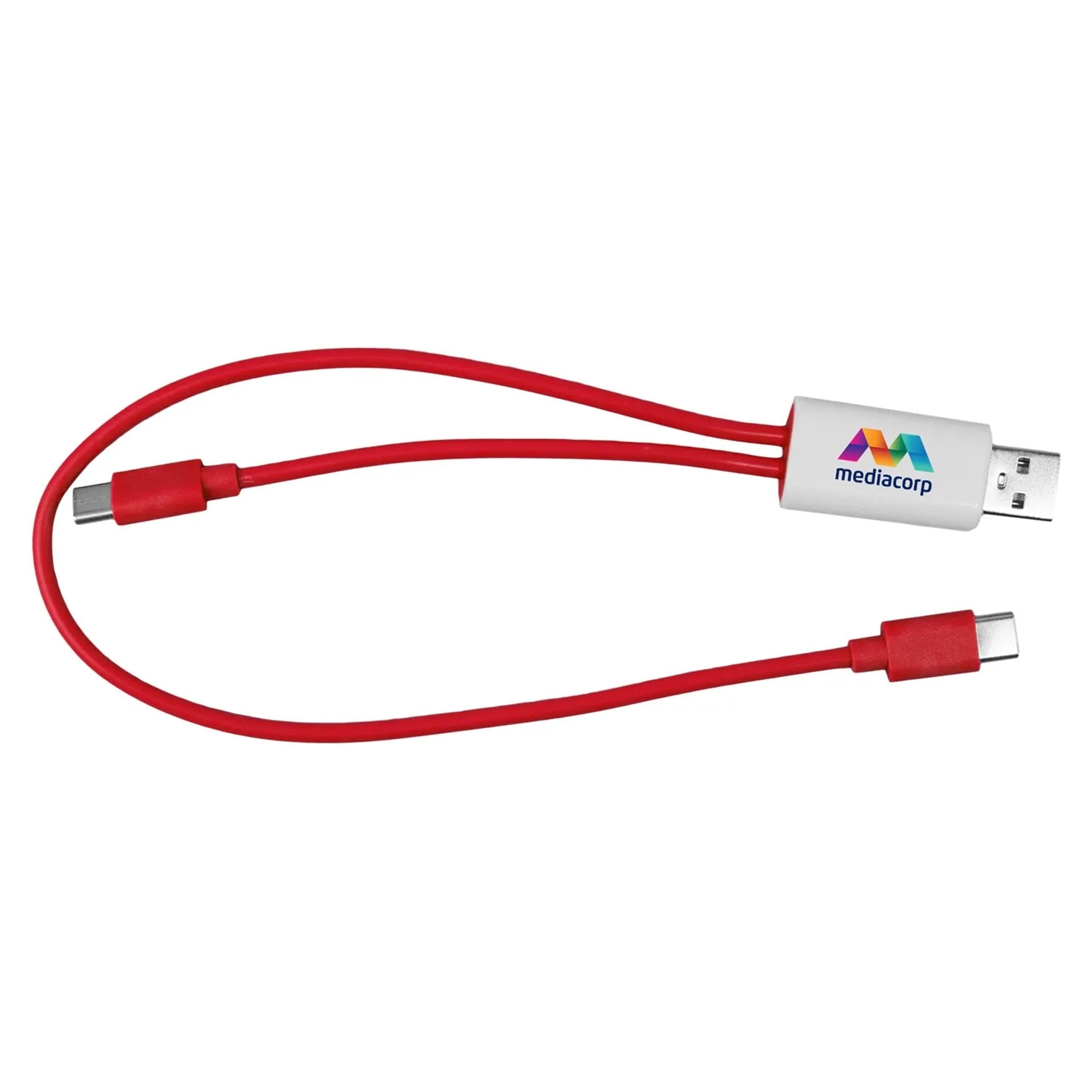 Dual Input A + C to C Accent Cable 14