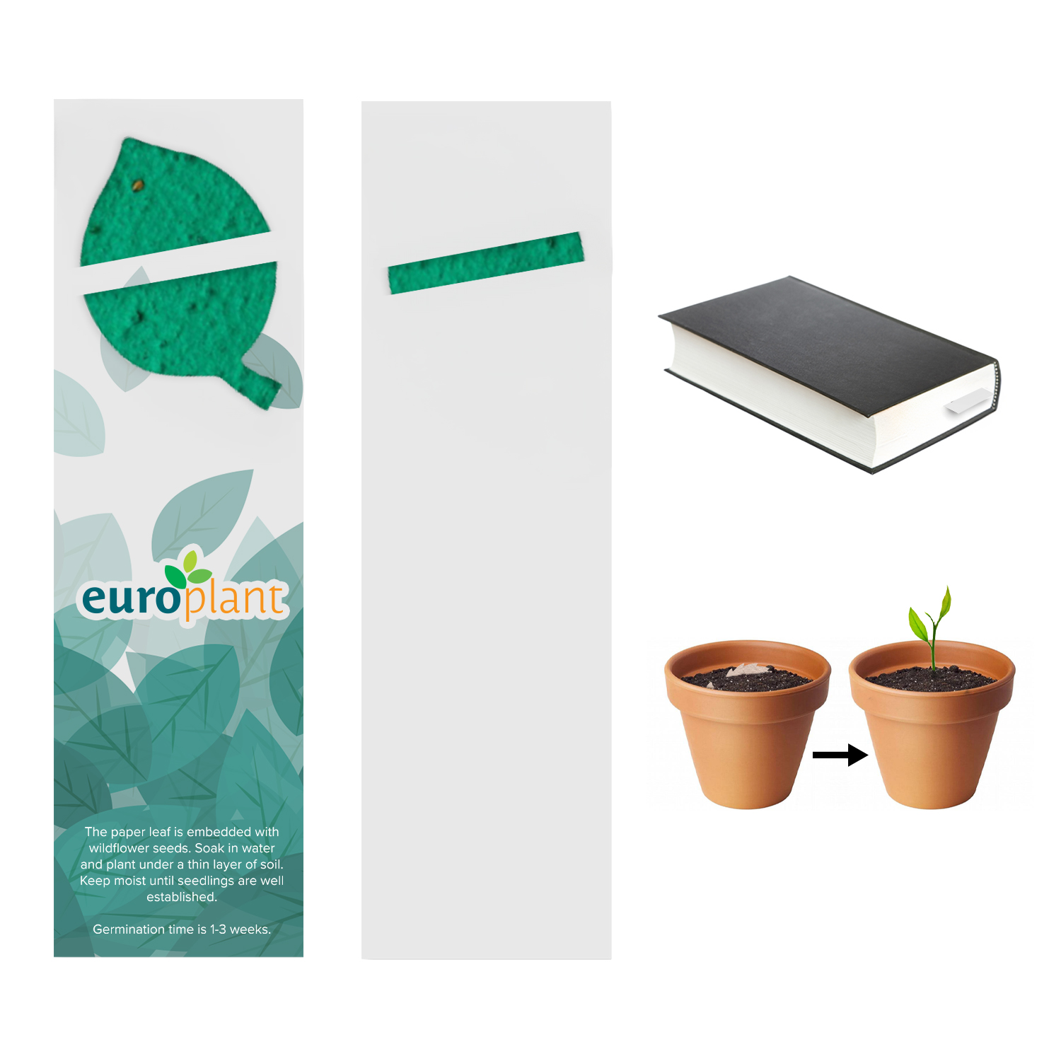 Plantable Bookmark 24