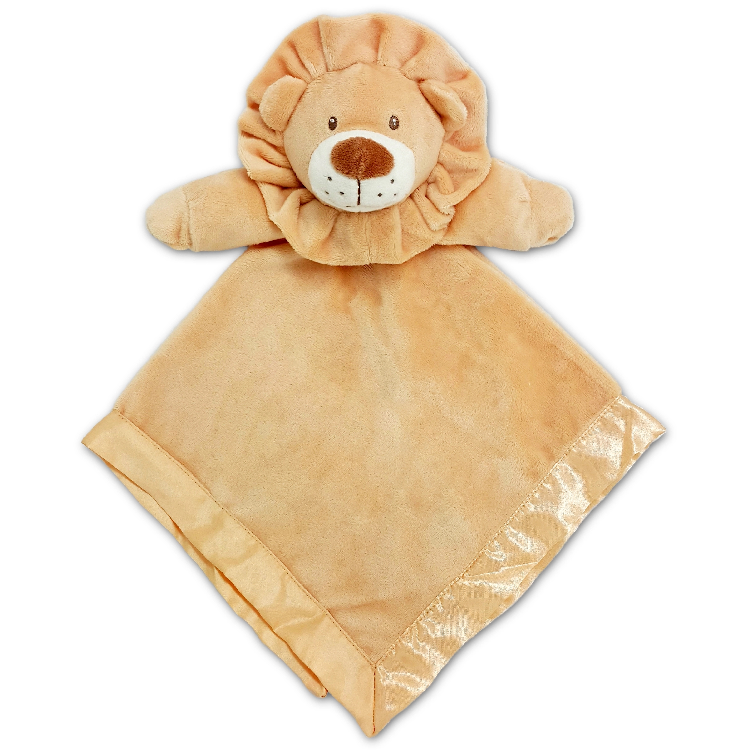 Lion Baby Blanket 1