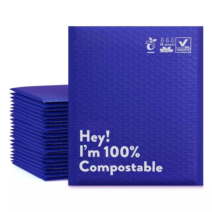 Compostable Mailer Bag 2