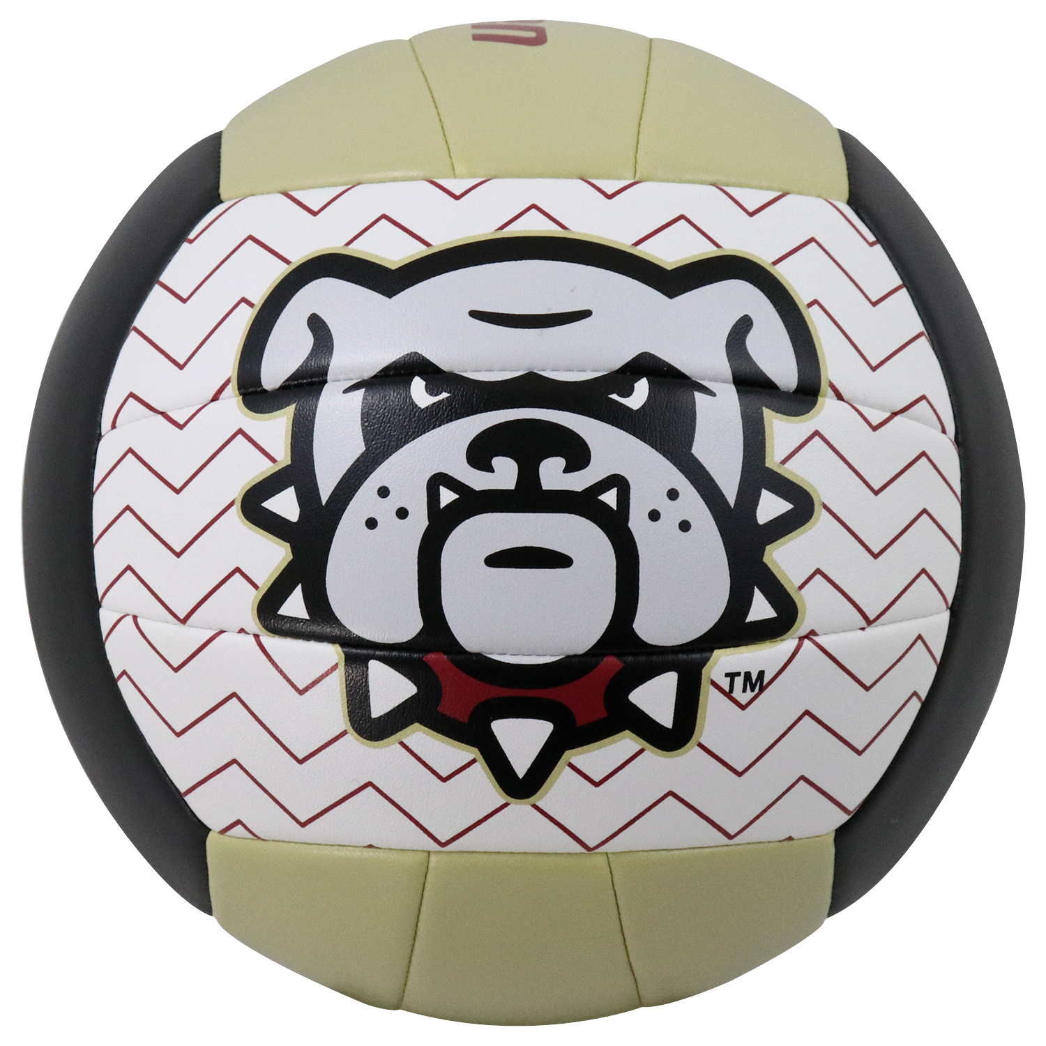 Volleyball, Recreational | Full Custom Import 2