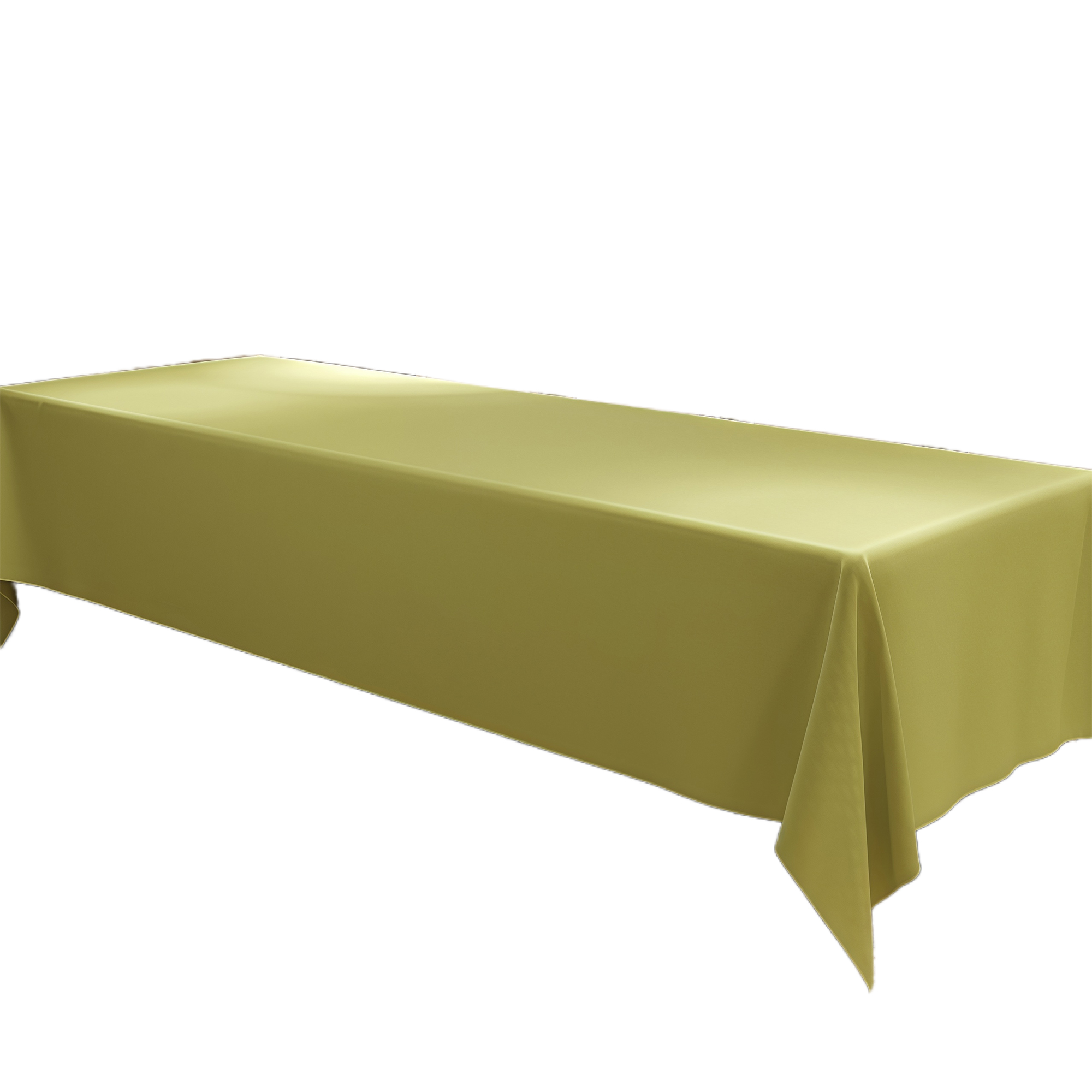 39x79" Rectangle Tablecloth for Conference 1