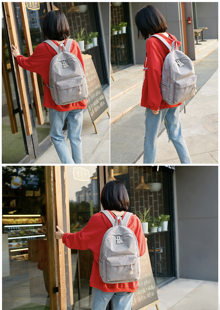 School Backpack for Teens 17
