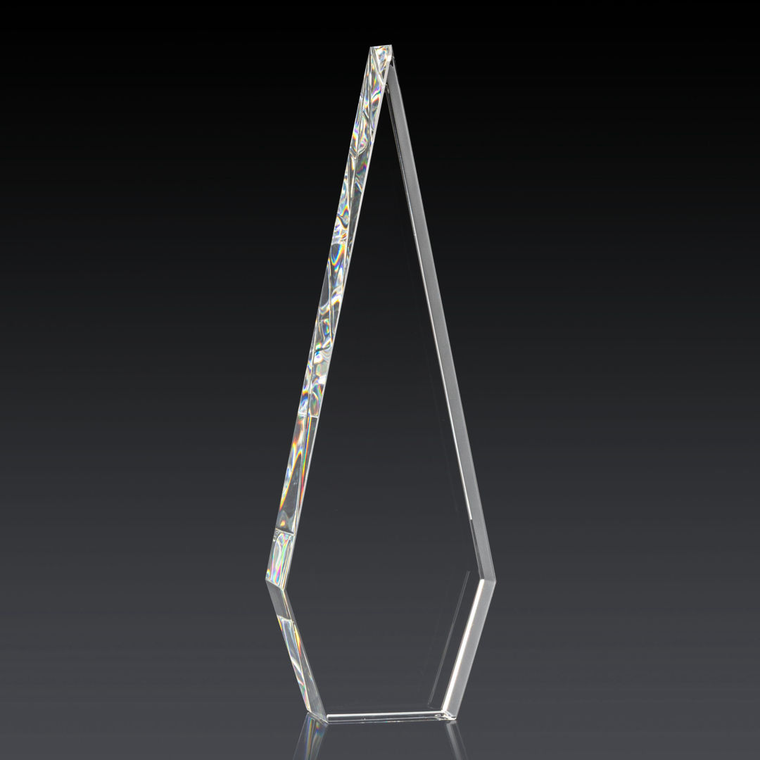 Springfield 3D Award 10