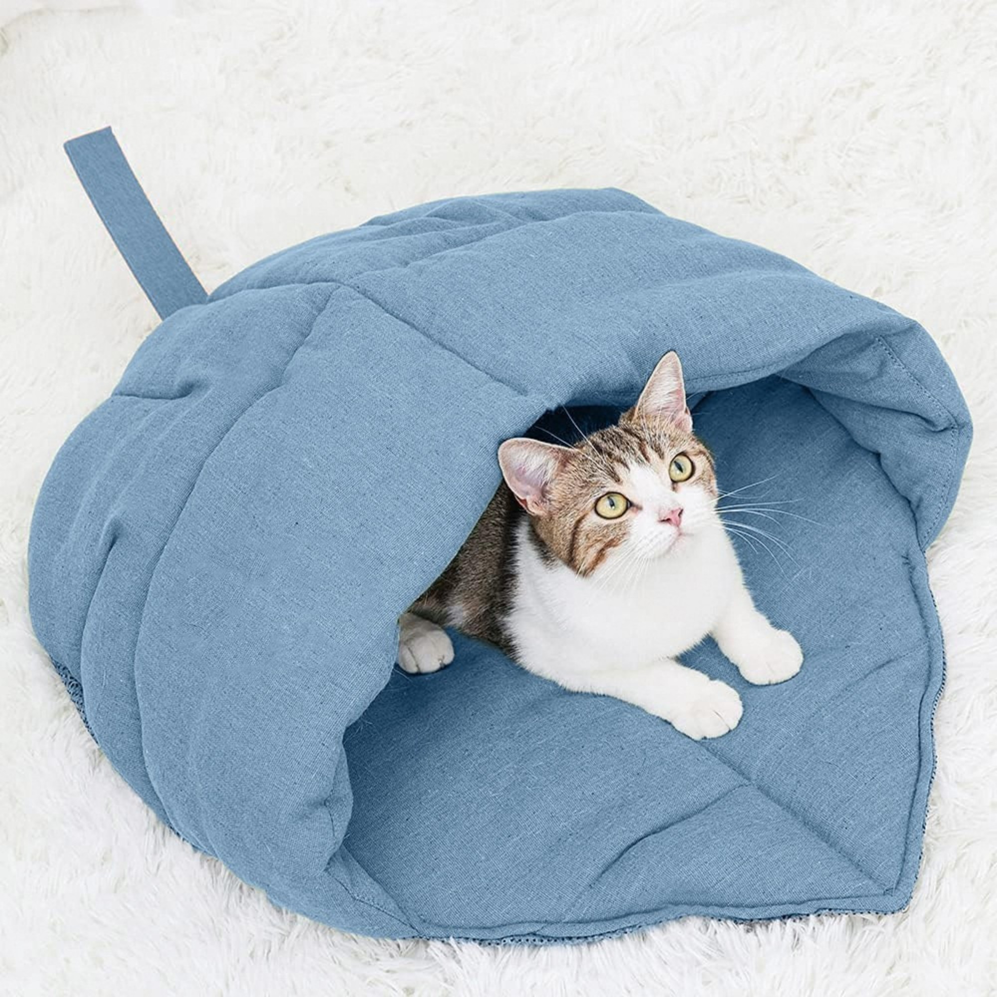 Cat Sleeping Bag 8