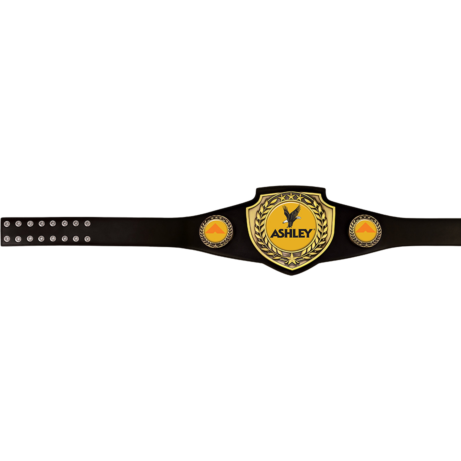 Shield Championship Belts: Black-Antiqued Gold
