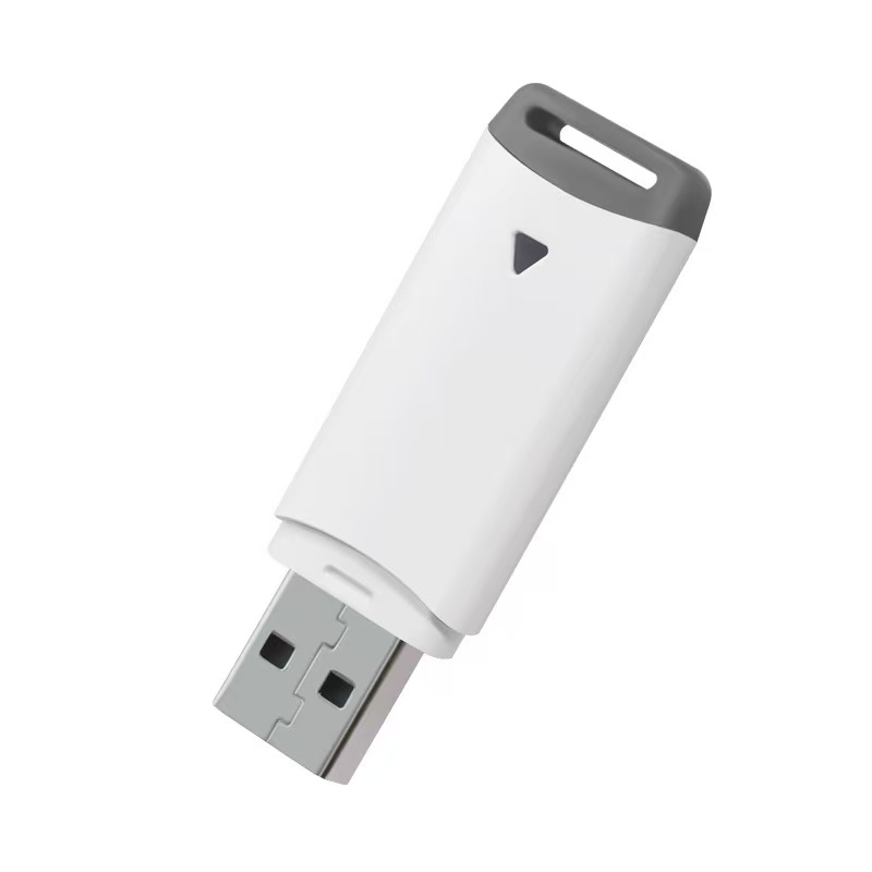 8GB Plastic USB Flash Drive 2