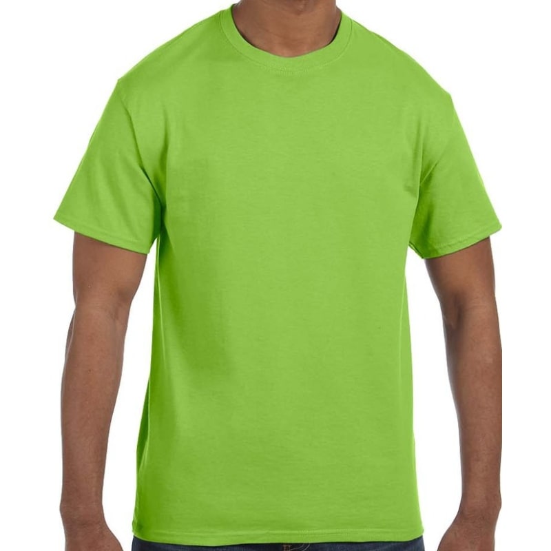 Hanes Men's Authentic-T T-Shirt 76