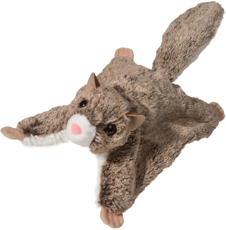 Jumper Flying Squirrel 1