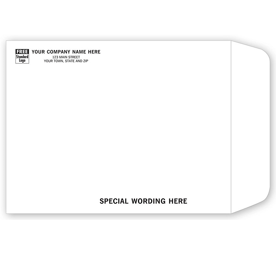 Large White TyvekAA(R) Envelope 1