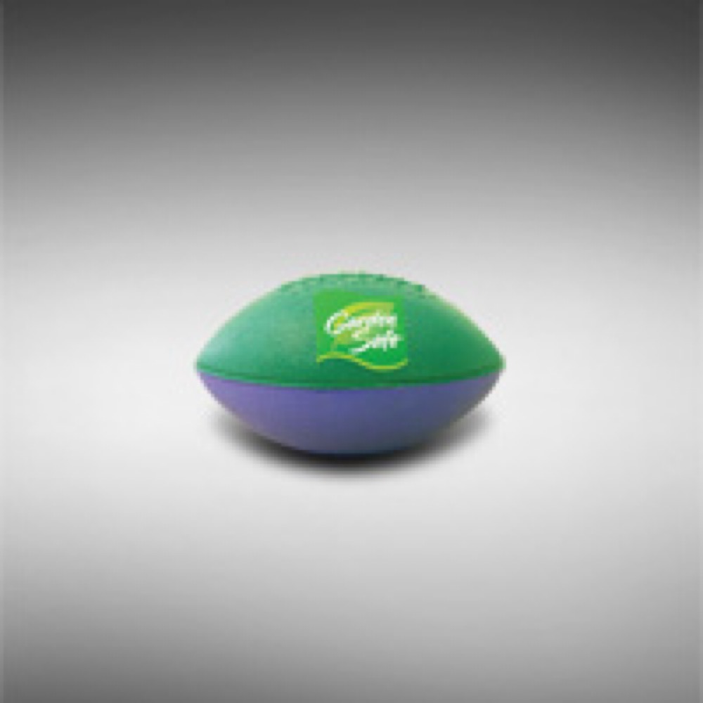 Football 4 EXP-Micro-WT