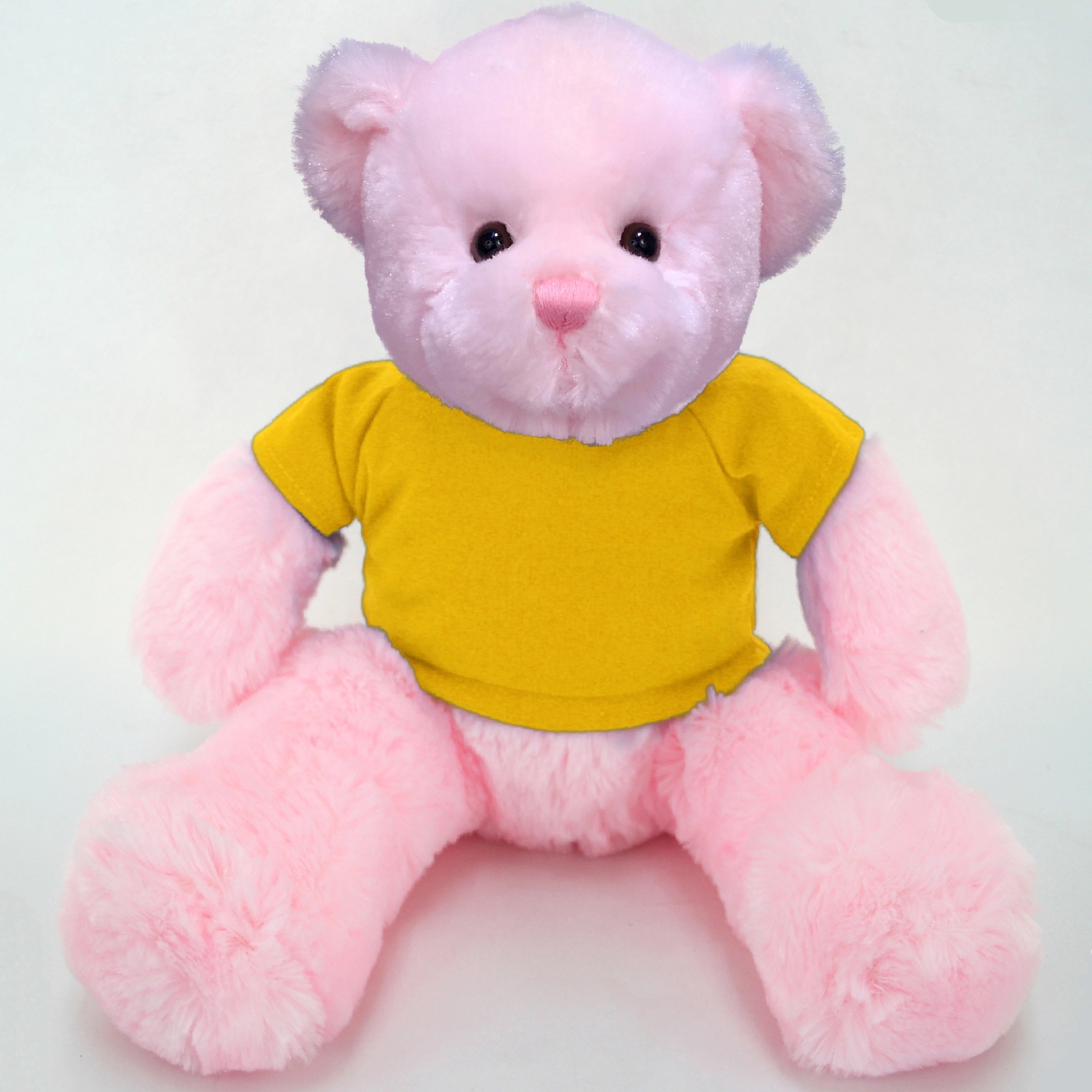 13" Classic Pink Bear 6
