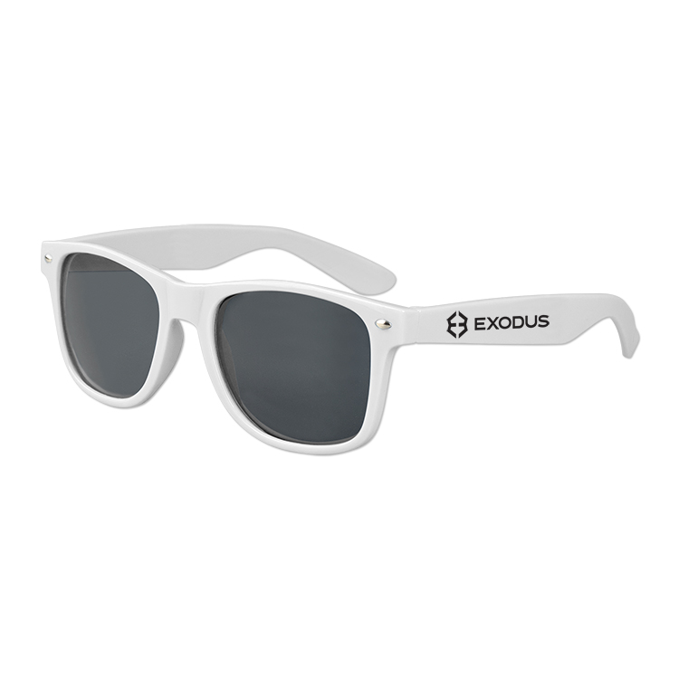 Polarized Iconic Sunglasses 4