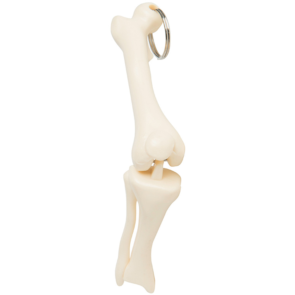Knee Joint Bone Keyring