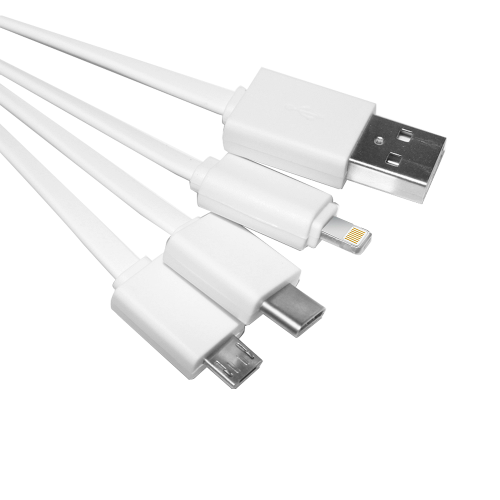 Leyden 4 in1 Charging Cables w/ USB tip 2