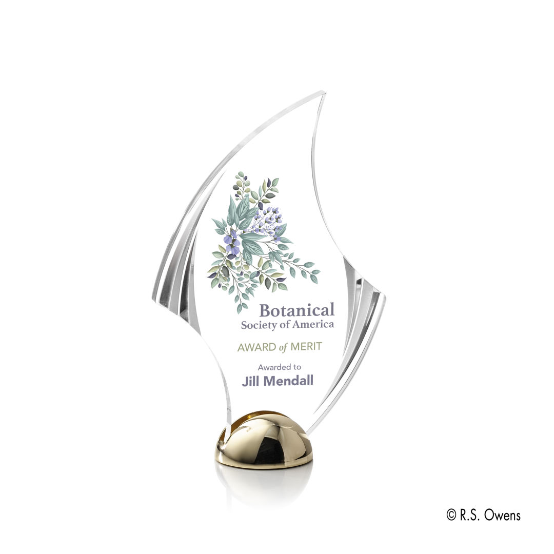 Flourish Hemisphere VividPrint™ Award 7