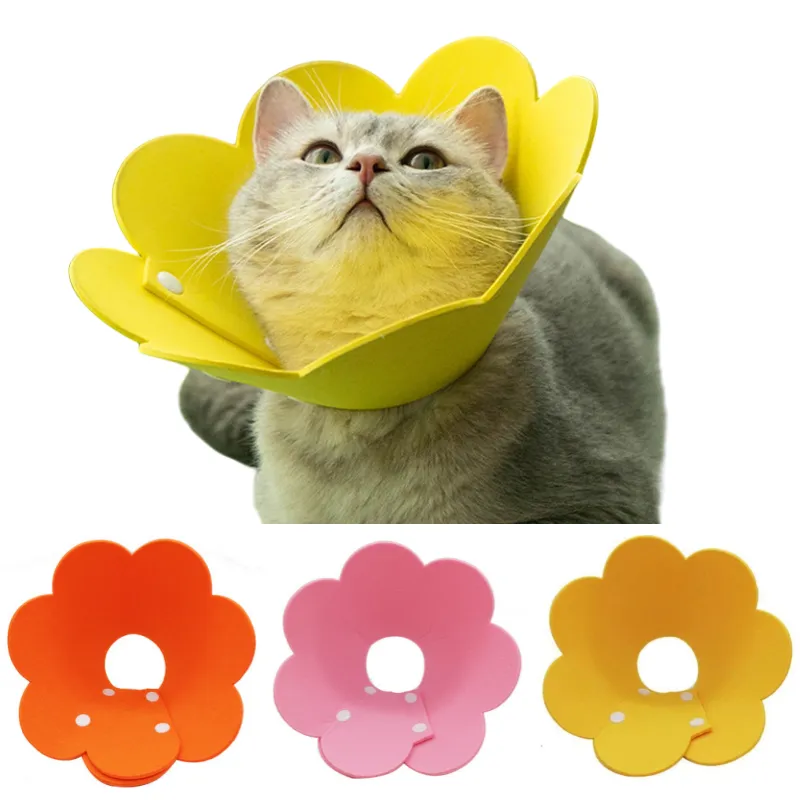 Pet Elizabeth Collar 4