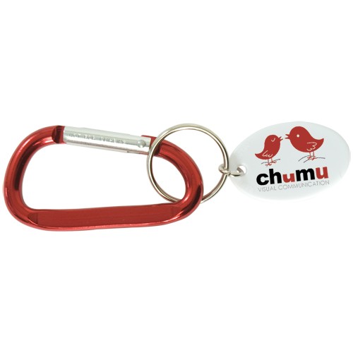 Small Carabiner Keytag 2