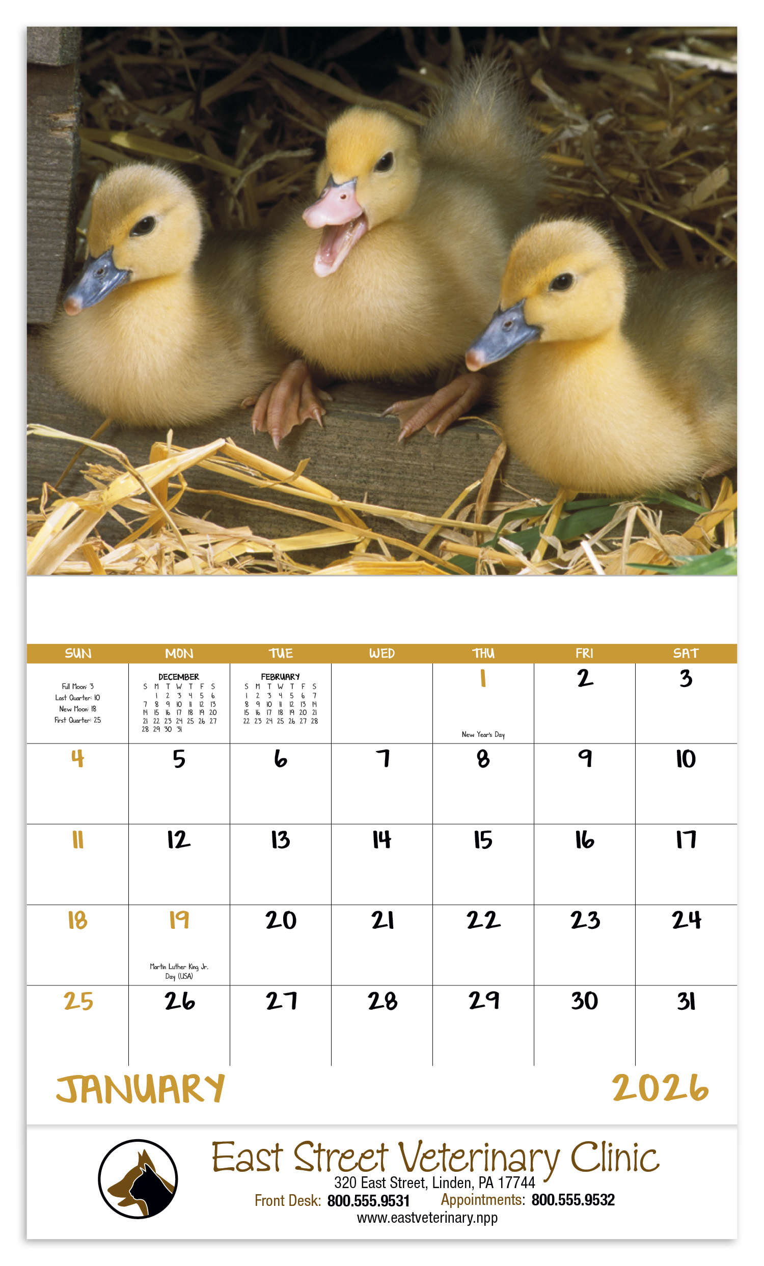 Good Value™ Baby Farm Animals - Stapled Calendar 6