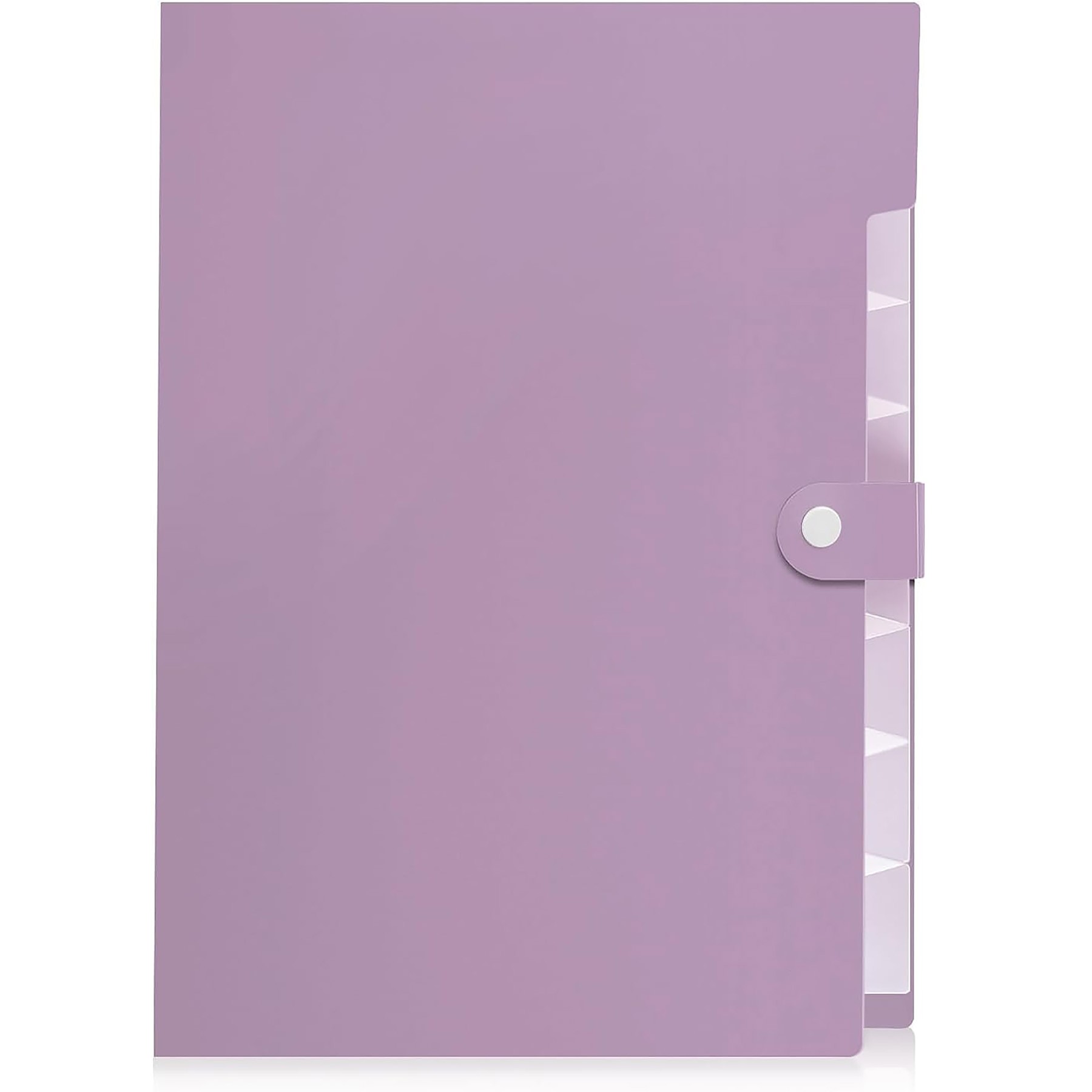 A4 Pockets Expanding File Folder 5