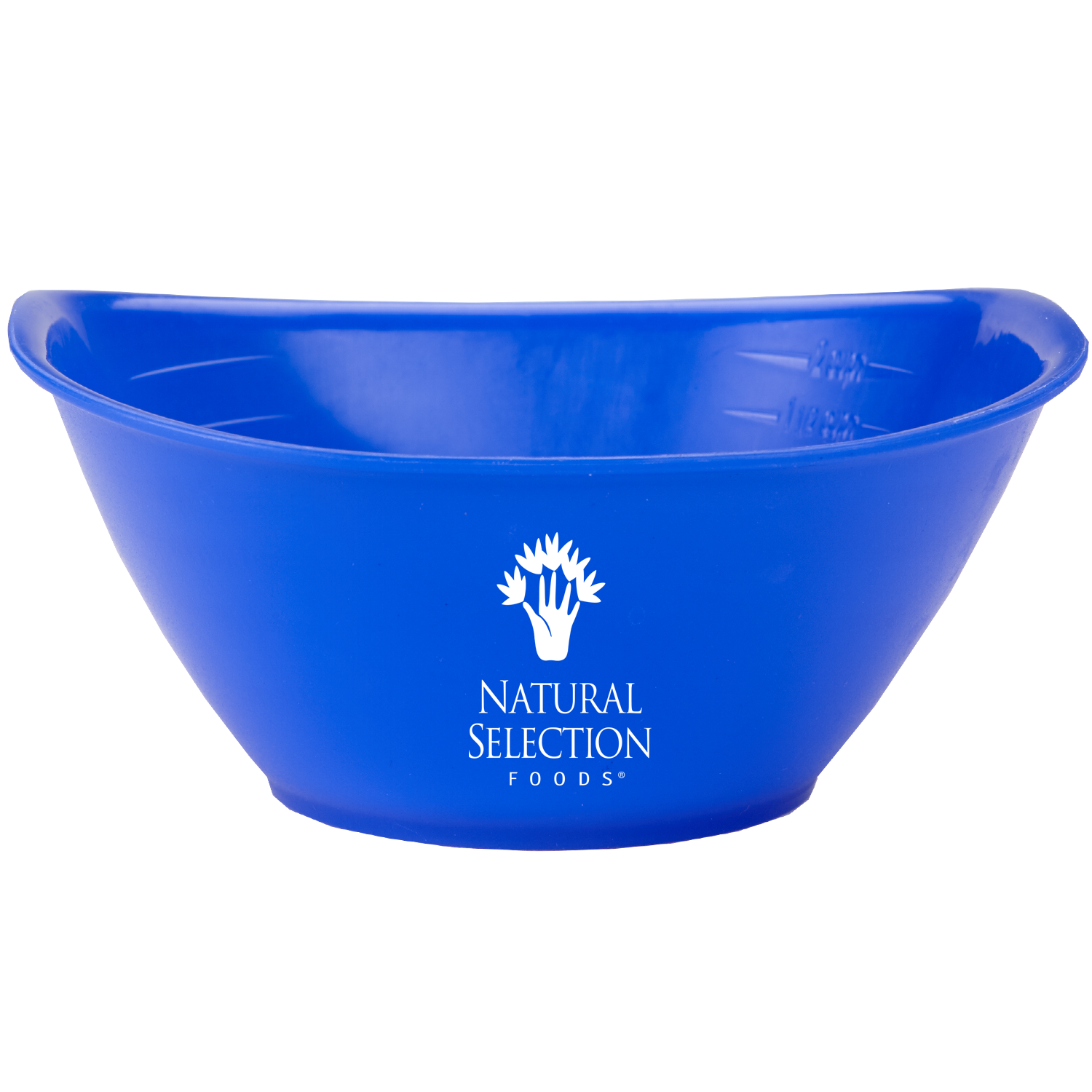 Portion Bowl 5