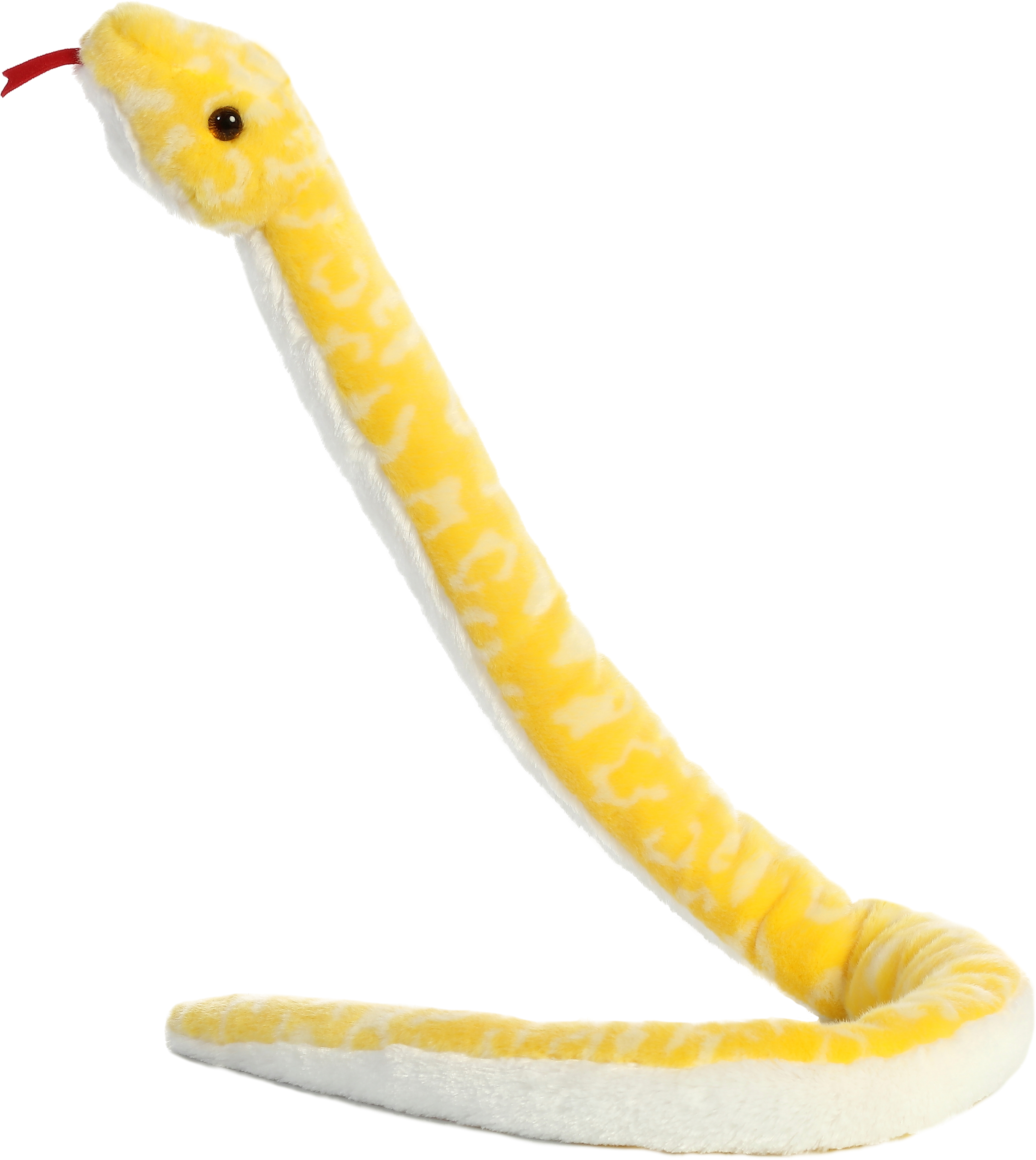 50" Albino Burmese Python 2