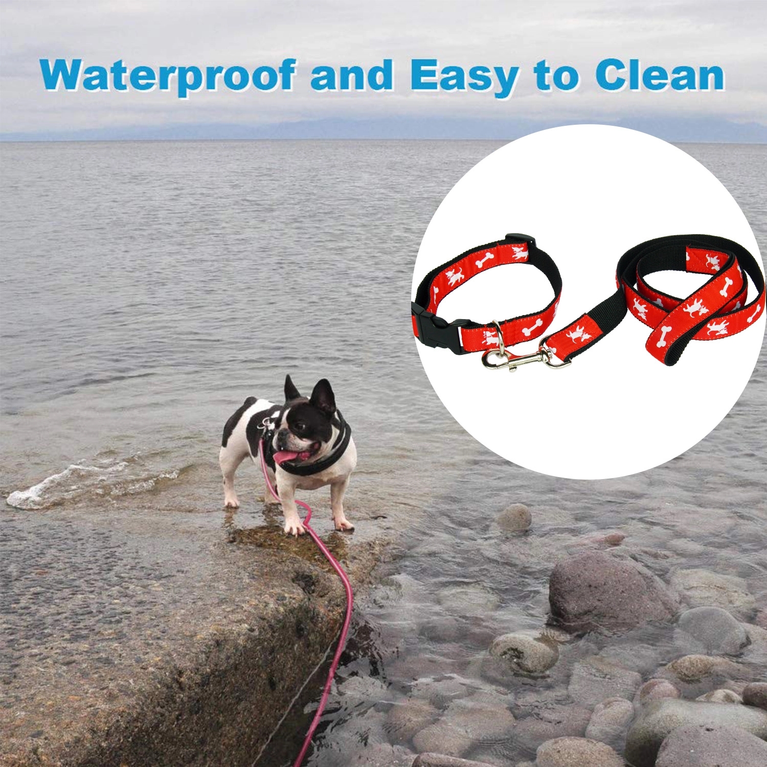 Dog Collar & Leash Set W/ Carabiner Hook 3