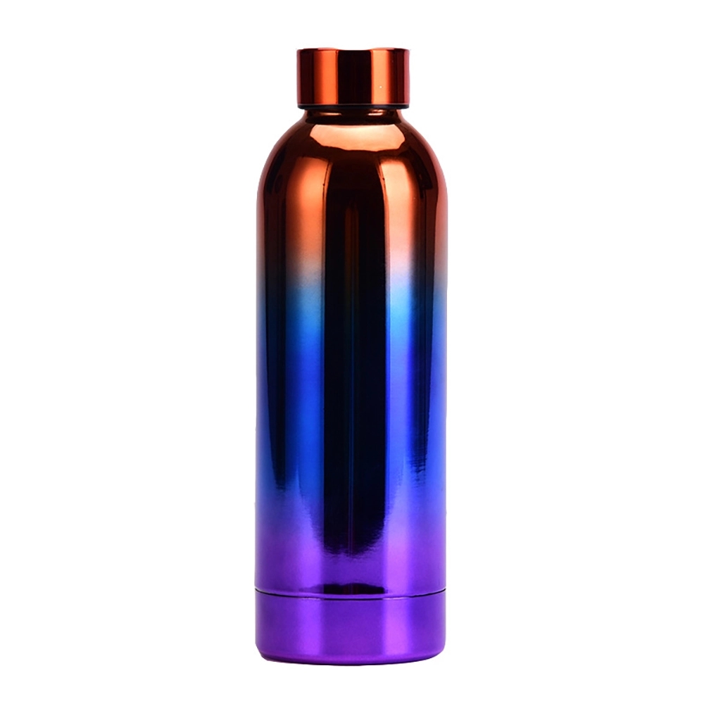 17Oz Stainless Steel Vacuum Insulated Bottle 7