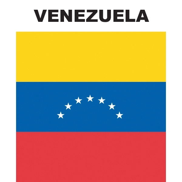Mini Banner - Venezuela 1