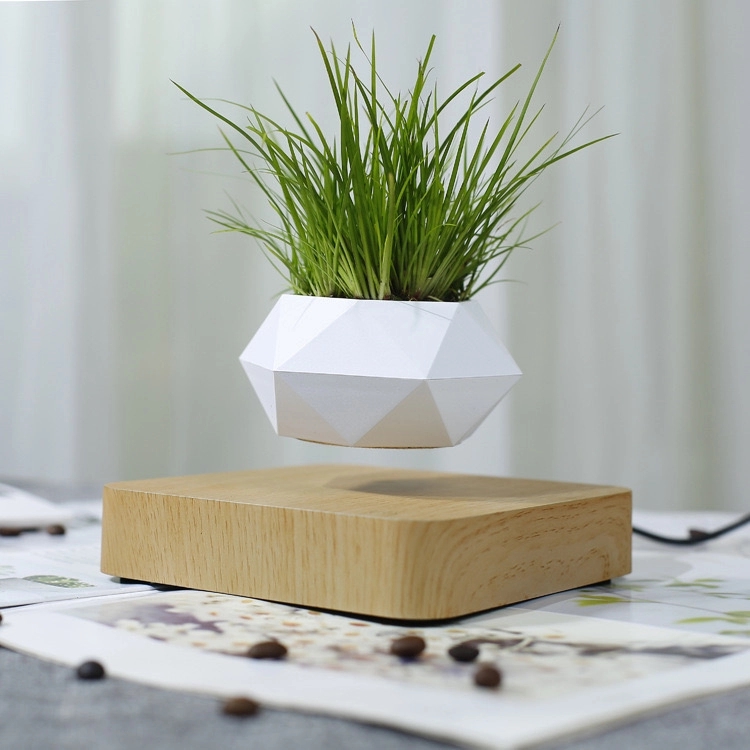 Magnetic Levitating Floating flower planter 1