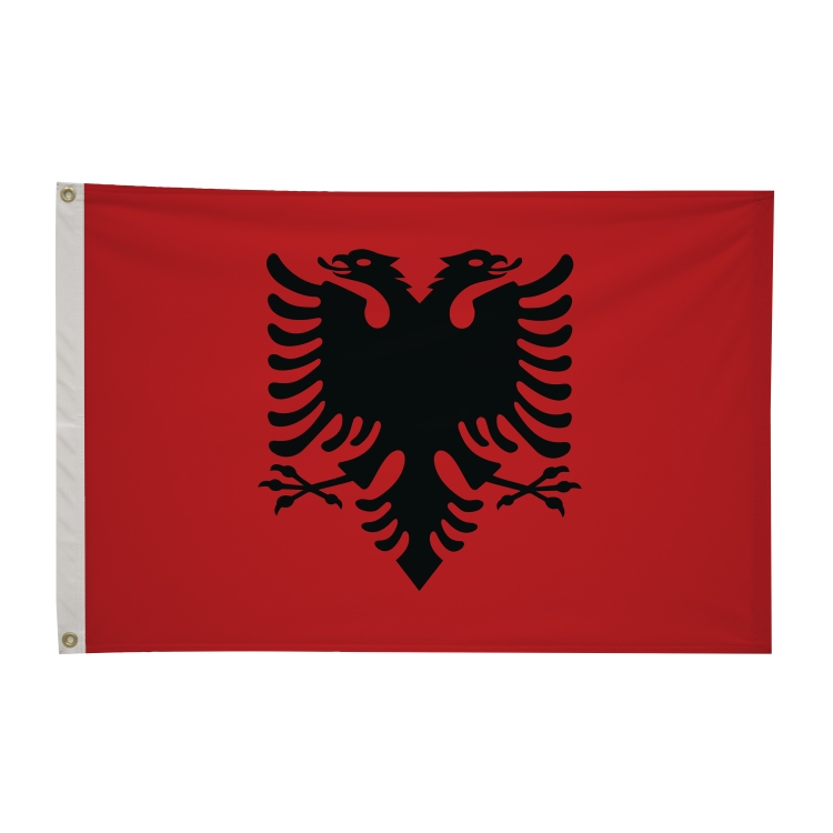 2' x 3'International Flag 5