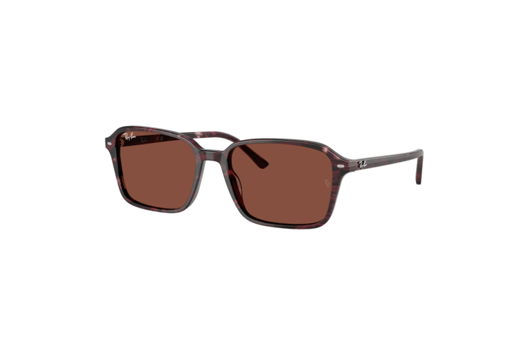 Ray-Ban Raimond Sunglasses 1