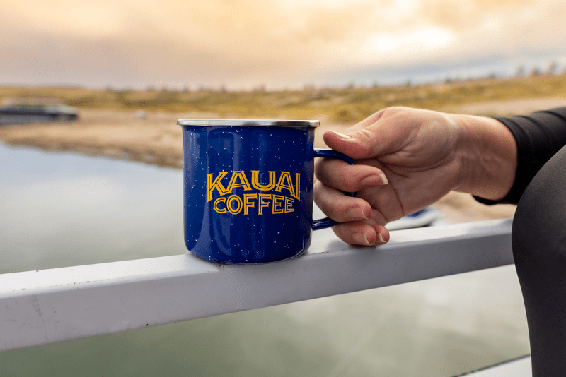 Sedona 16oz Enamel Mug 55