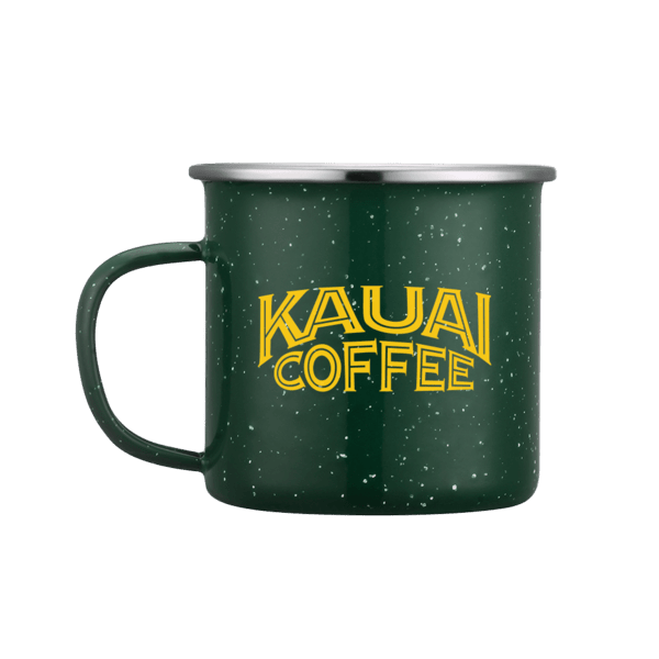 Sedona 16oz Enamel Mug 25