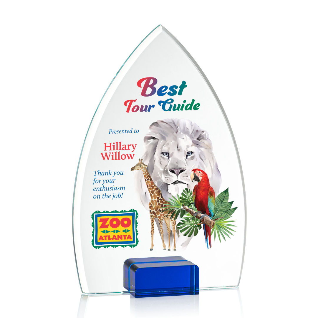 Aylin VividPrint™ Award - Blue 3
