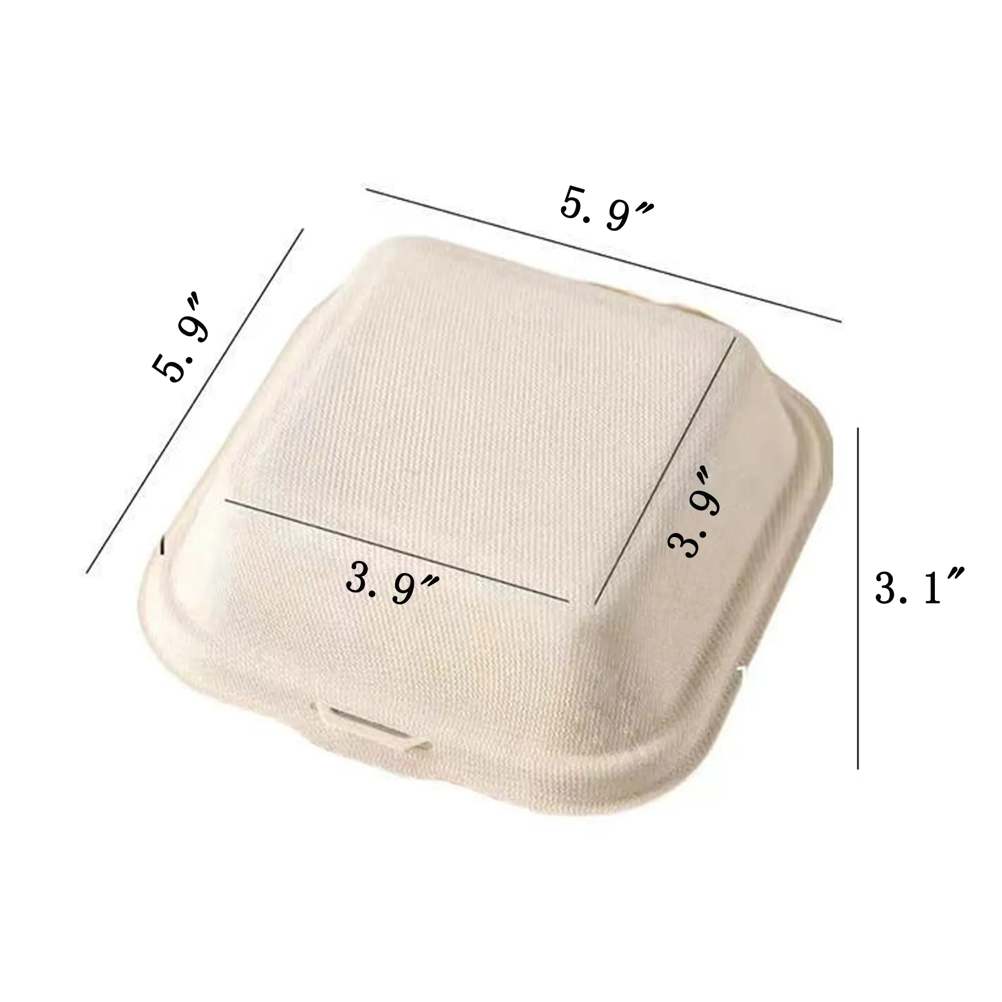 Compostable Square Hinged Container 6 X 6" 3