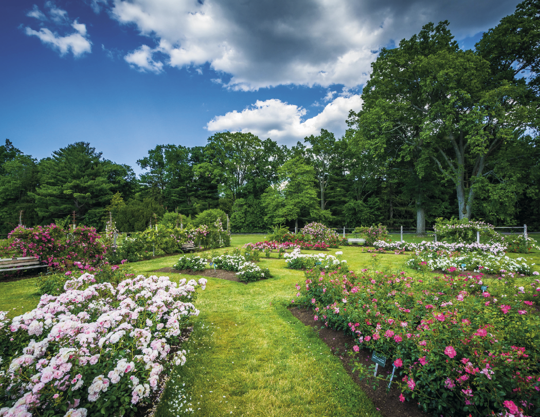 Triumph® Calendars New England Calendar 51
