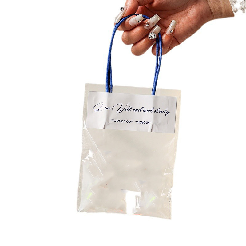 Clear Plastic Gift Bag with Blue Handles 2