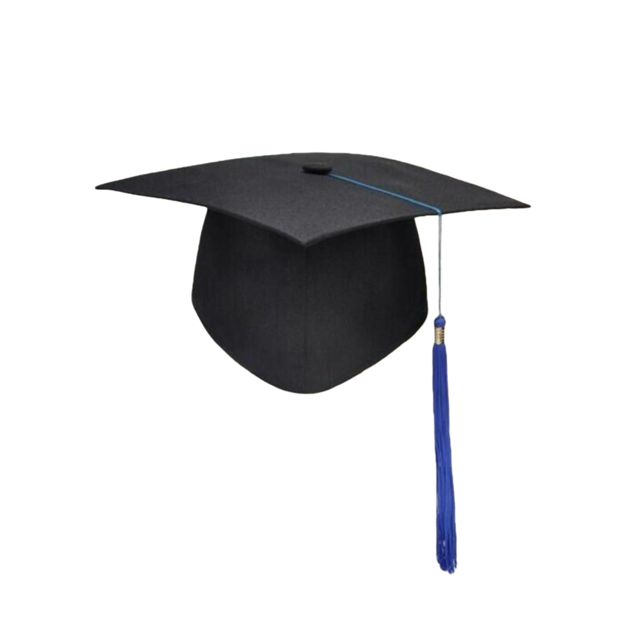 Custom Logo Academic Graduation Cap 2