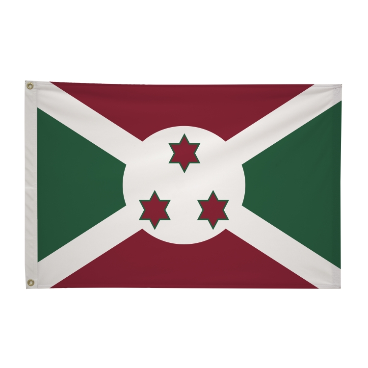 2' x 3'International Flag 42