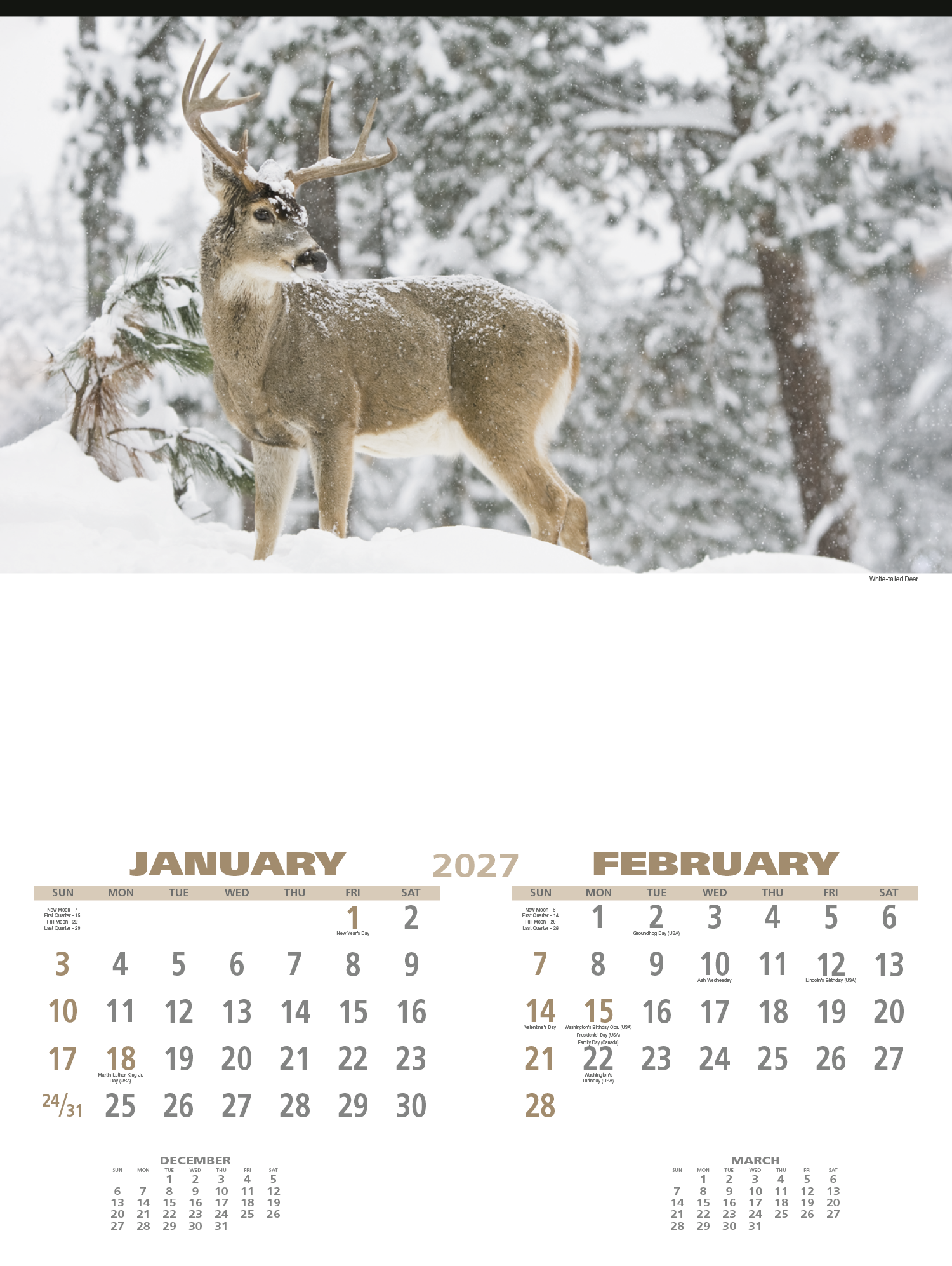Triumph® Calendars Wildlife Calendar 24